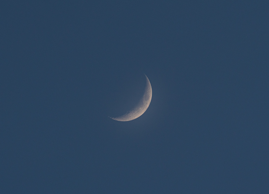 Mond12042024