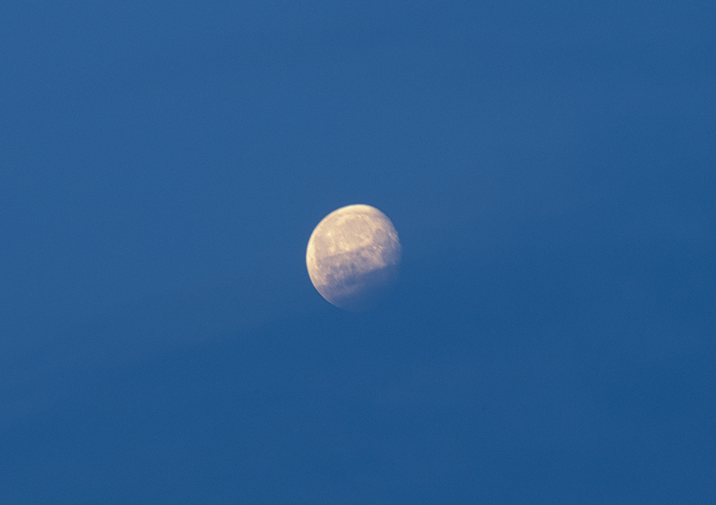 Mond2802203