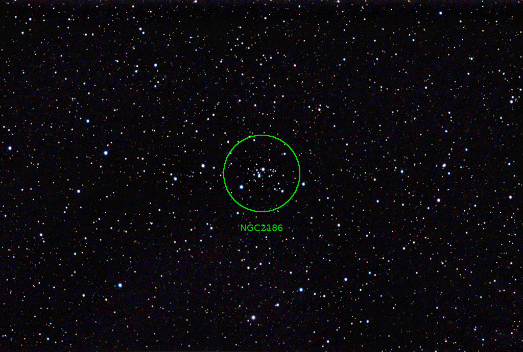 STNGC2186 28022023ANT