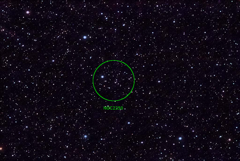 STNGC2250 18022023ANT