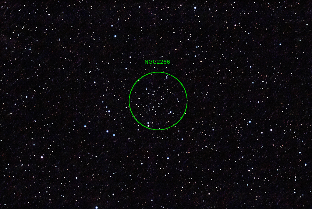 STNGC2286 18022023ANT