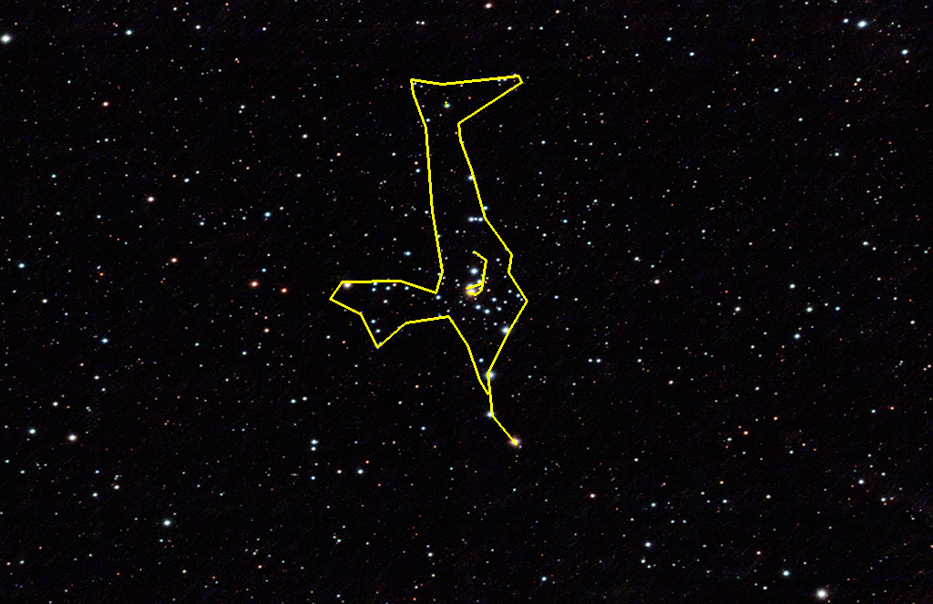 STNGC2301 15022023greatbird