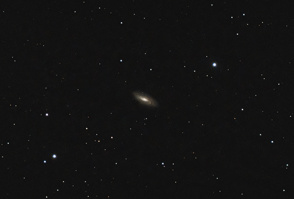 STNGC5005 19052023