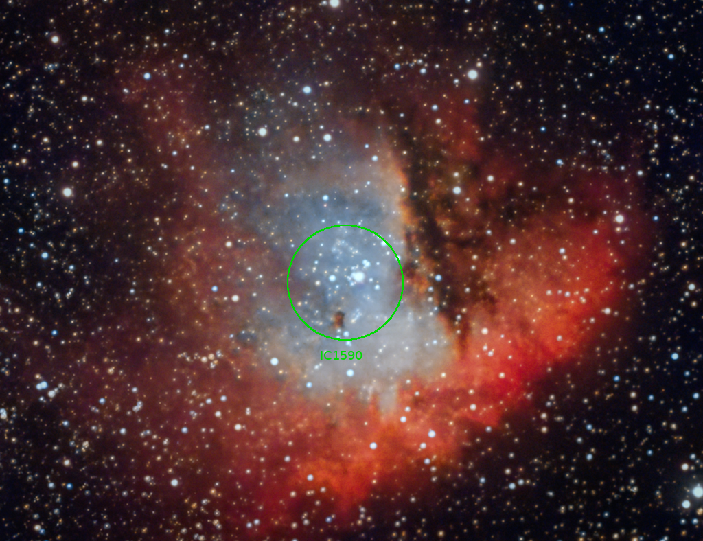 ic1590 NB12022023ANT