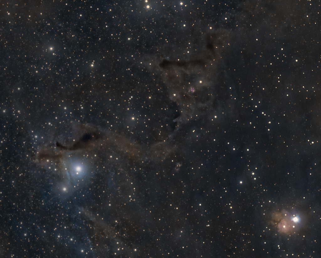 vdb9 12345678 crop