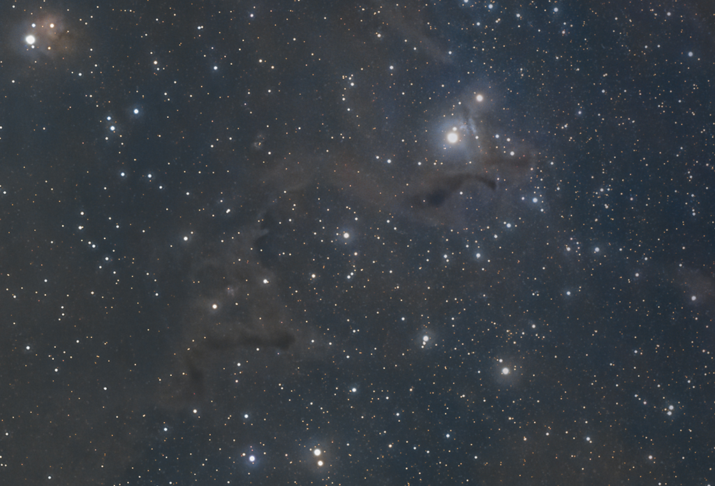 vdb9 k1234567 crop1